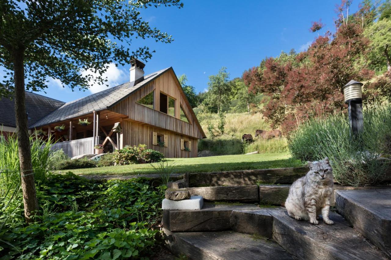 Homestead Farm Tesnak Gorenja Vas  Dış mekan fotoğraf