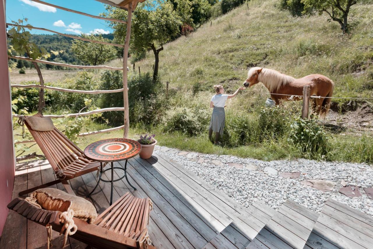 Homestead Farm Tesnak Gorenja Vas  Dış mekan fotoğraf